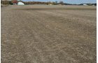 Property photo 23 - 75.3 Acres Offered in 2 Tracts